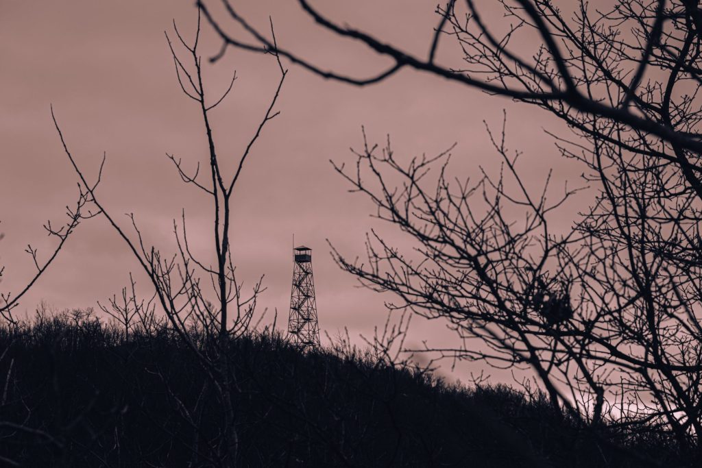 Fire Tower A sepia image of a fire tower rising from a mountain. Branches in the foreground create a pleasing sense of depth in the image.