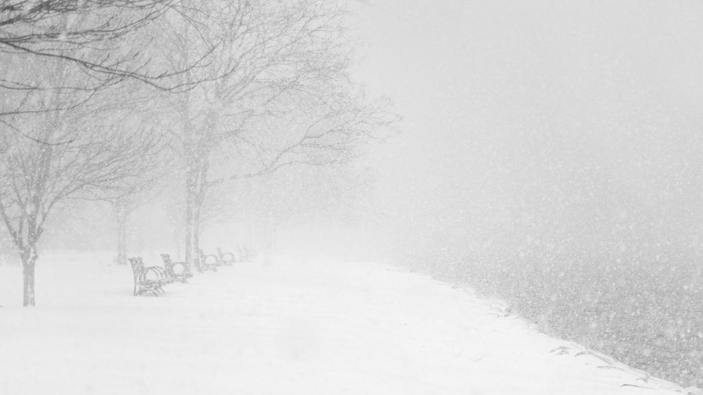 Snowstorm