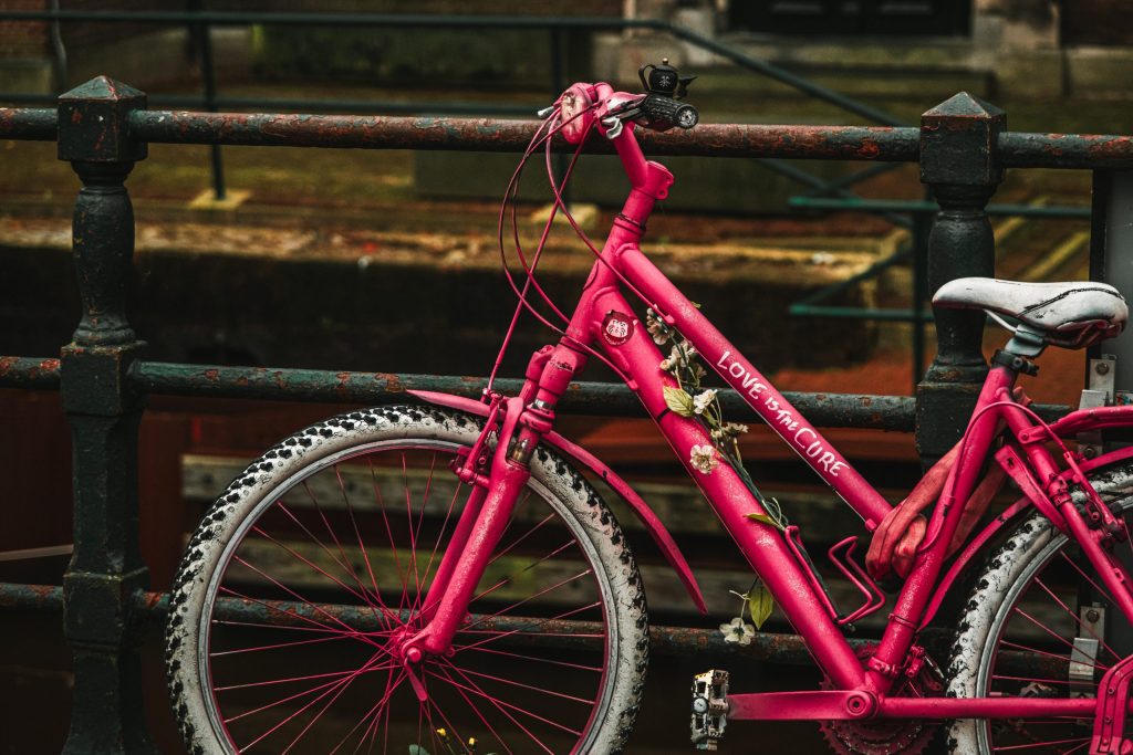 Love is the Cure A pink bicycle with dried flowers attached, and the text "Love is the Cure" painted on the side