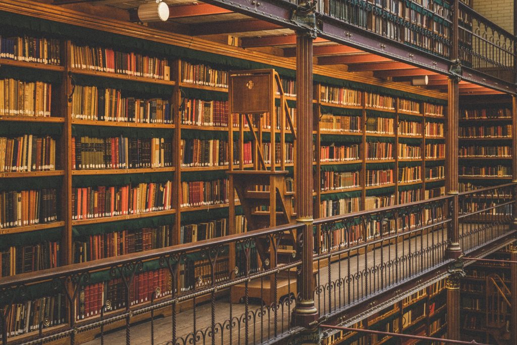 The Library Library shelves with old books and a wooden step ladder
