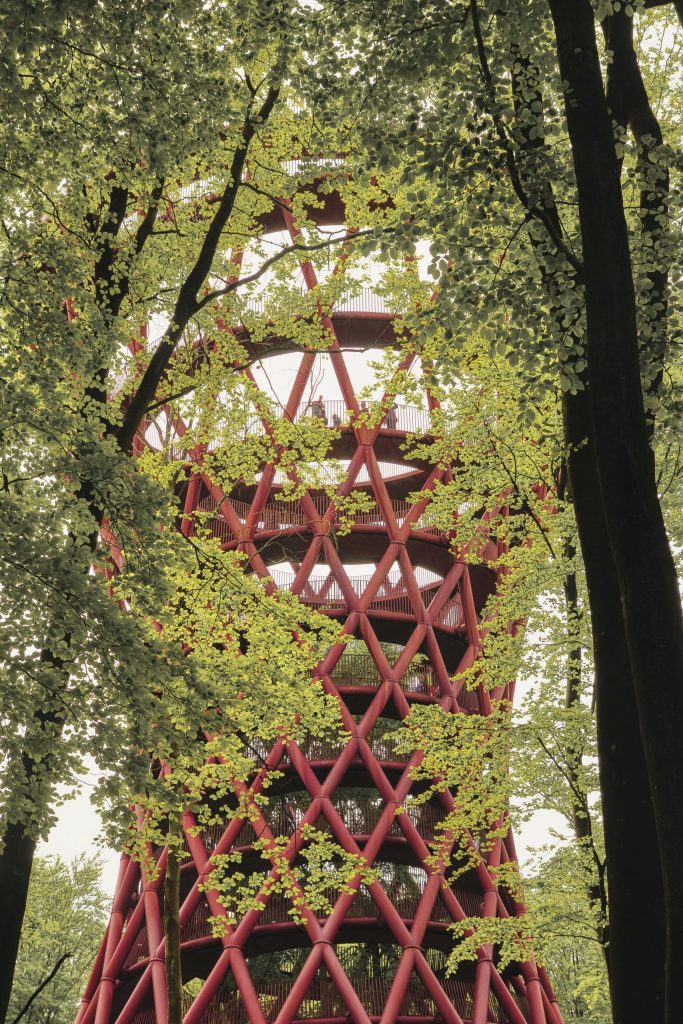 Forest Tower A red metal tower seen through the trees
